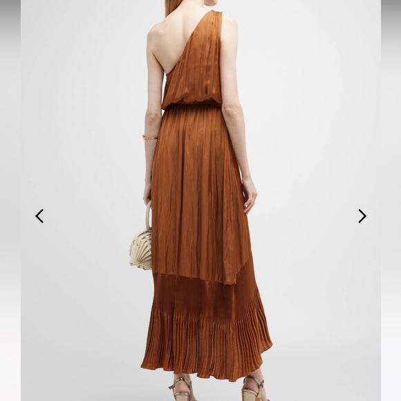 Ramy Brook Nadine Pleated Asymmetric Maxi Dress - Picture 4 of 7